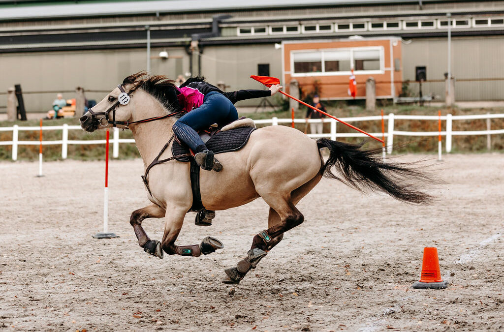 Velkommen til Mountedgames.no!